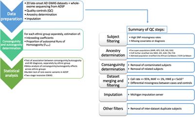 Recent Consanguinity and Outbred Autozygosity Are Associated With Increased Risk of Late-Onset Alzheimer’s Disease